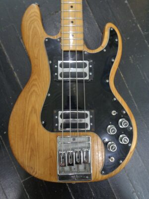 Peavey T-40 bass