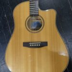Seagull 25th anniversary acoustic guitar