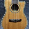 Mitchell concert size uke with Fishman electronics - Image 3