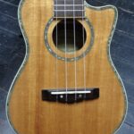 Mitchell concert size uke with Fishman electronics